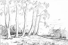 Click on the image to enlarge (76.8 kB)