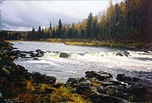 Click on the image to enlarge (77.3 kB)